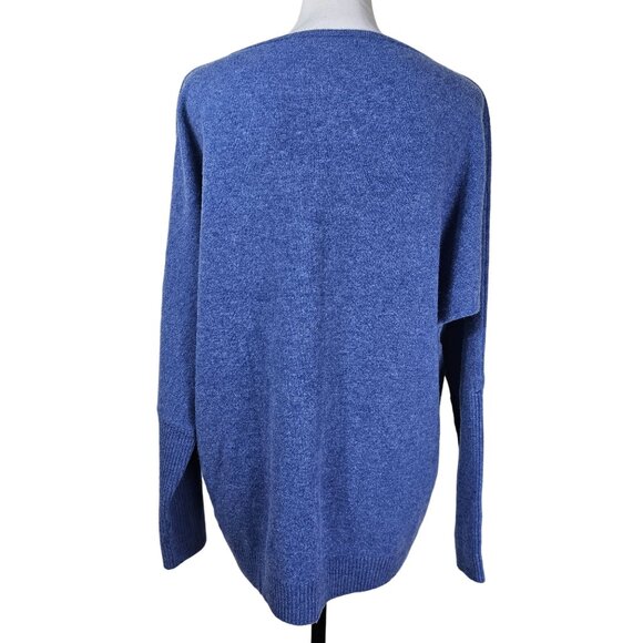 Liny Xin Womens V-Neck Superfine Merino Wool Sweater Sz L Blue Preppy Academia - Picture 2 of 12
